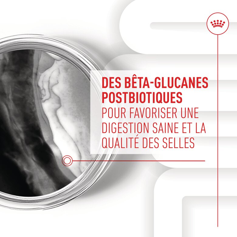 Royal Canin - Aliment Complémentaire Immunity & Digestion pour Chiots - 100g Image numéro 8 Royal Canin - Aliment Complémentaire Immunity & Digestion pour Chiots - 100g Image numéro 8