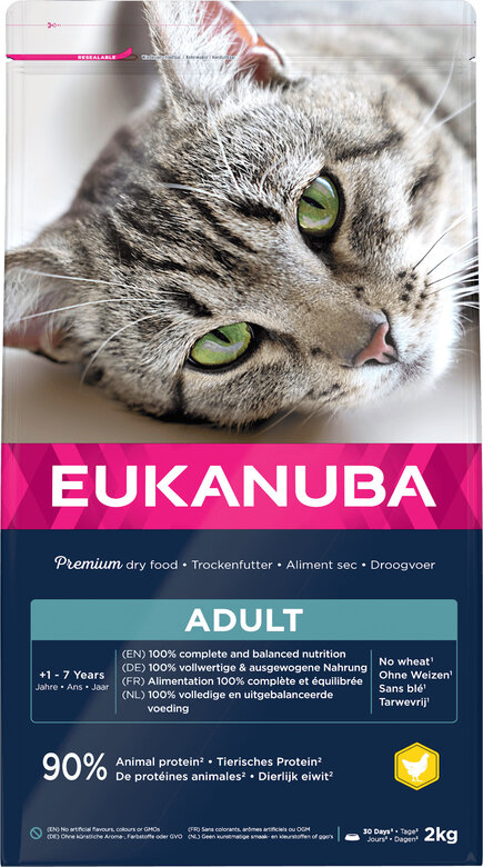 Eukanuba -  Croquettes Chat Adulte Condition Optimale Toutes Races Poulet - 2kg Image numéro 1 Eukanuba -  Croquettes Chat Adulte Condition Optimale Toutes Races Poulet - 2kg Image numéro 1