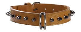 Bobby - Collier Pretty Marine pour Chiens