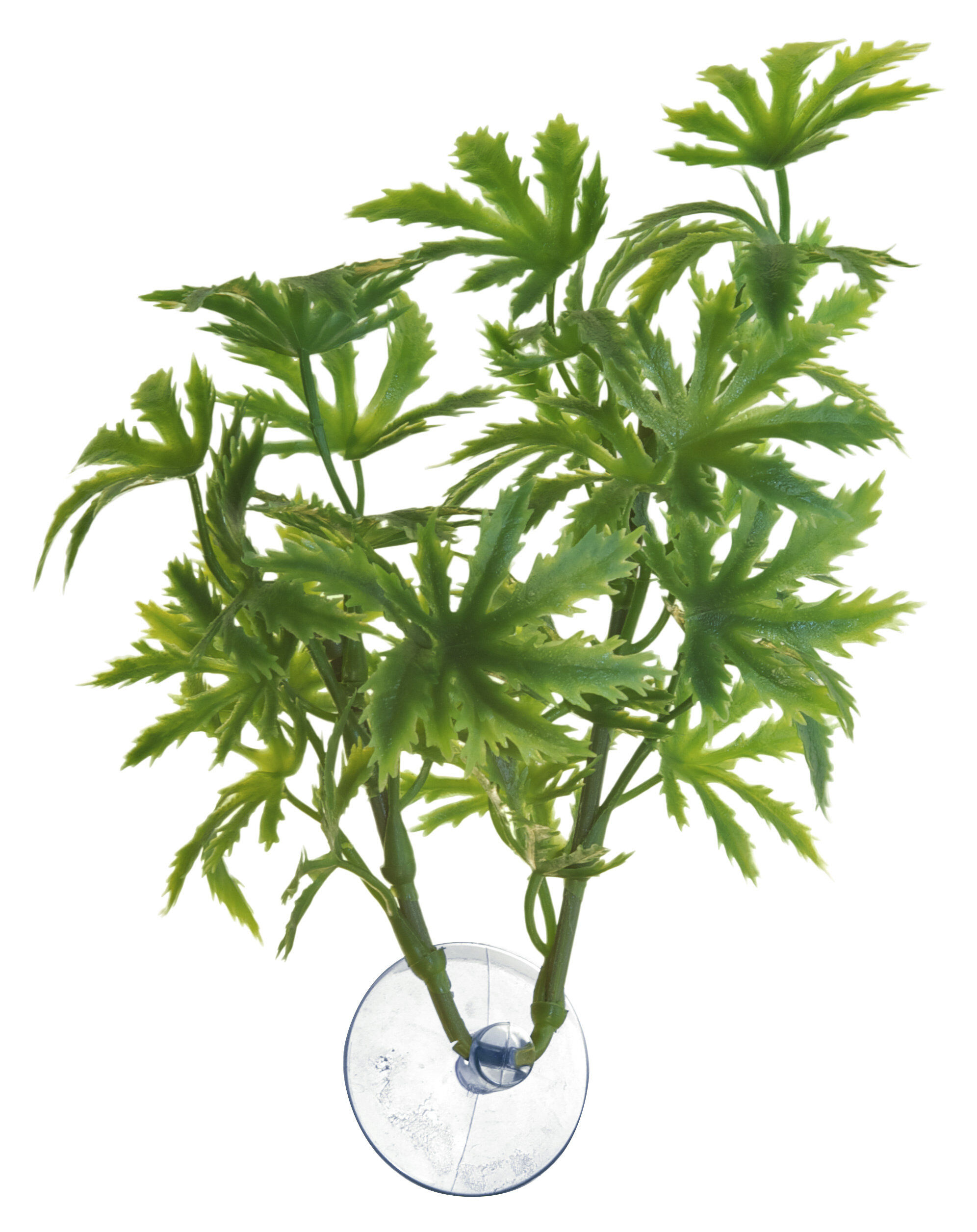 Zoomed - Plante artificielle avec ventouse pour aquarium - Papaya Image num&eacute;ro 2