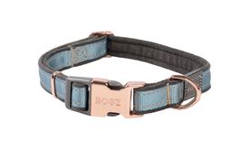 Rogz - Collier Urban Turquoise pour Chiens