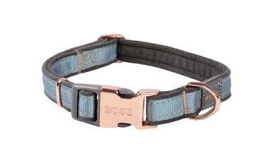 Rogz - Collier Urban Turquoise pour Chiens