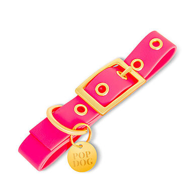 Pop Dog - Collier à Œillet Glouton Rose pour Chien - M