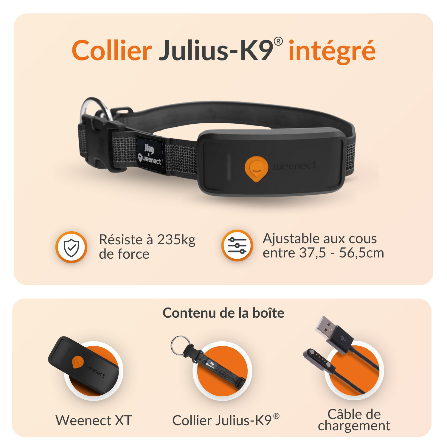 Weenect - Collier GPS XT Chiens - Noir Image num&eacute;ro 14