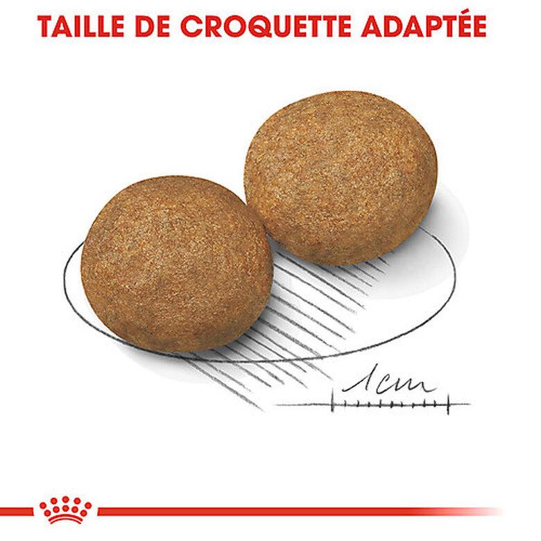 Royal Canin - Croquettes Medium Adult pour Chien - 4Kg image number null