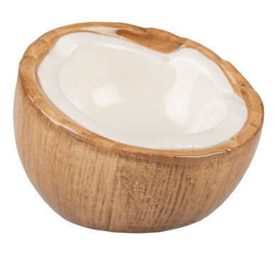 Duvoplus - Mangeoire Stone Coconut pour Rongeurs - 10,5x9,8x7,5cm