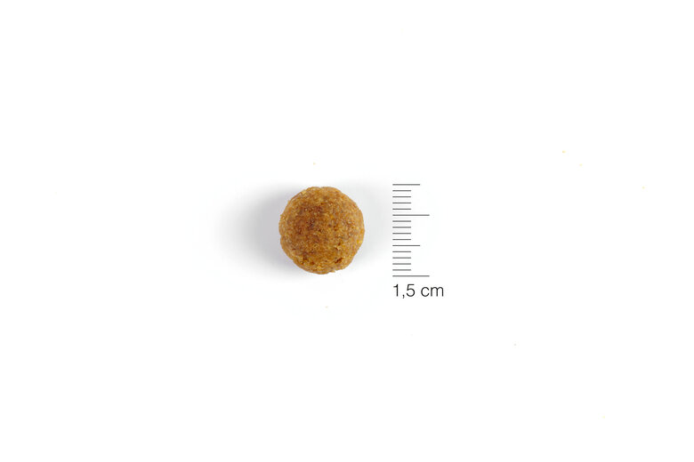 Solidary - Croquettes Dog 26 pour Chiens Adultes et Jeunes - 15Kg Image numéro 3 Solidary - Croquettes Dog 26 pour Chiens Adultes et Jeunes - 15Kg Image numéro 3