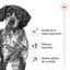 Royal Canin - Croquettes Medium Adulte 7+ pour Chien - 4Kg Indicateur image num&eacute;ro 5