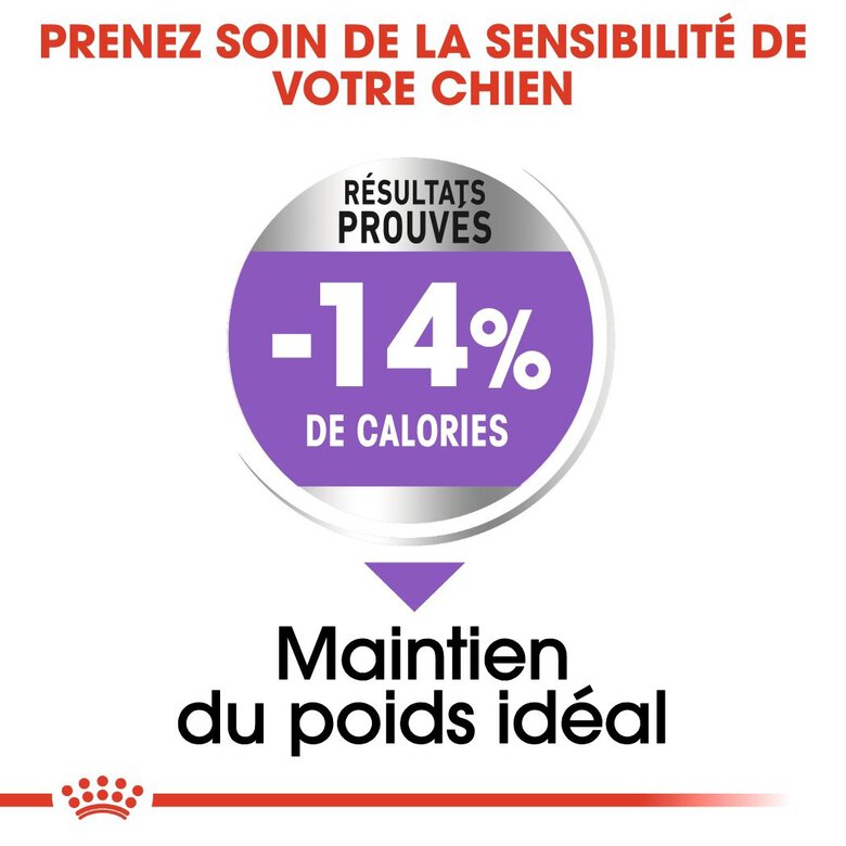 Royal Canin - Croquettes Maxi Sterilised pour Chien Adulte Stérilisé - 3Kg Image numéro 4 Royal Canin - Croquettes Maxi Sterilised pour Chien Adulte Stérilisé - 3Kg Image numéro 4