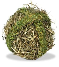 Rongis - BOULE DE FOIN pour rongeurs - 125g