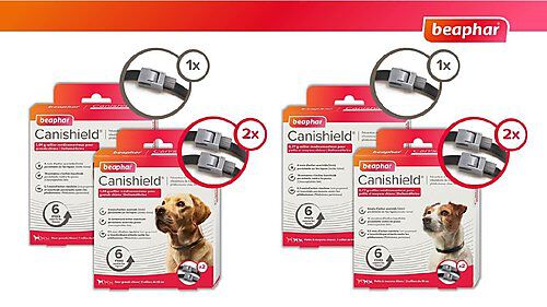 Canishield - Collier Anti puces Tiques pour Grand Chien - x2 Image num&eacute;ro 2