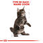 Royal Canin - Croquettes Maine Coon Kitten pour Chatons - 10Kg Indicateur image numéro 5
