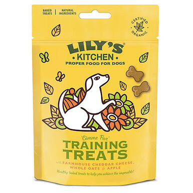 Lily's Kitchen - Biscuits Dressage à la Pomme pour Chien - 80g