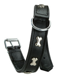 Bobby - Collier Geisha Bleu pour Chiens