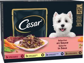Cesar - P&acirc;t&eacute;e en Sauce 4 Vari&eacute;t&eacute;es Viandes et L&eacute;gumes pour Chiens - 12x100g