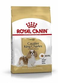 Royal Canin - Croquettes Cavalier King Charles pour Chien Adulte