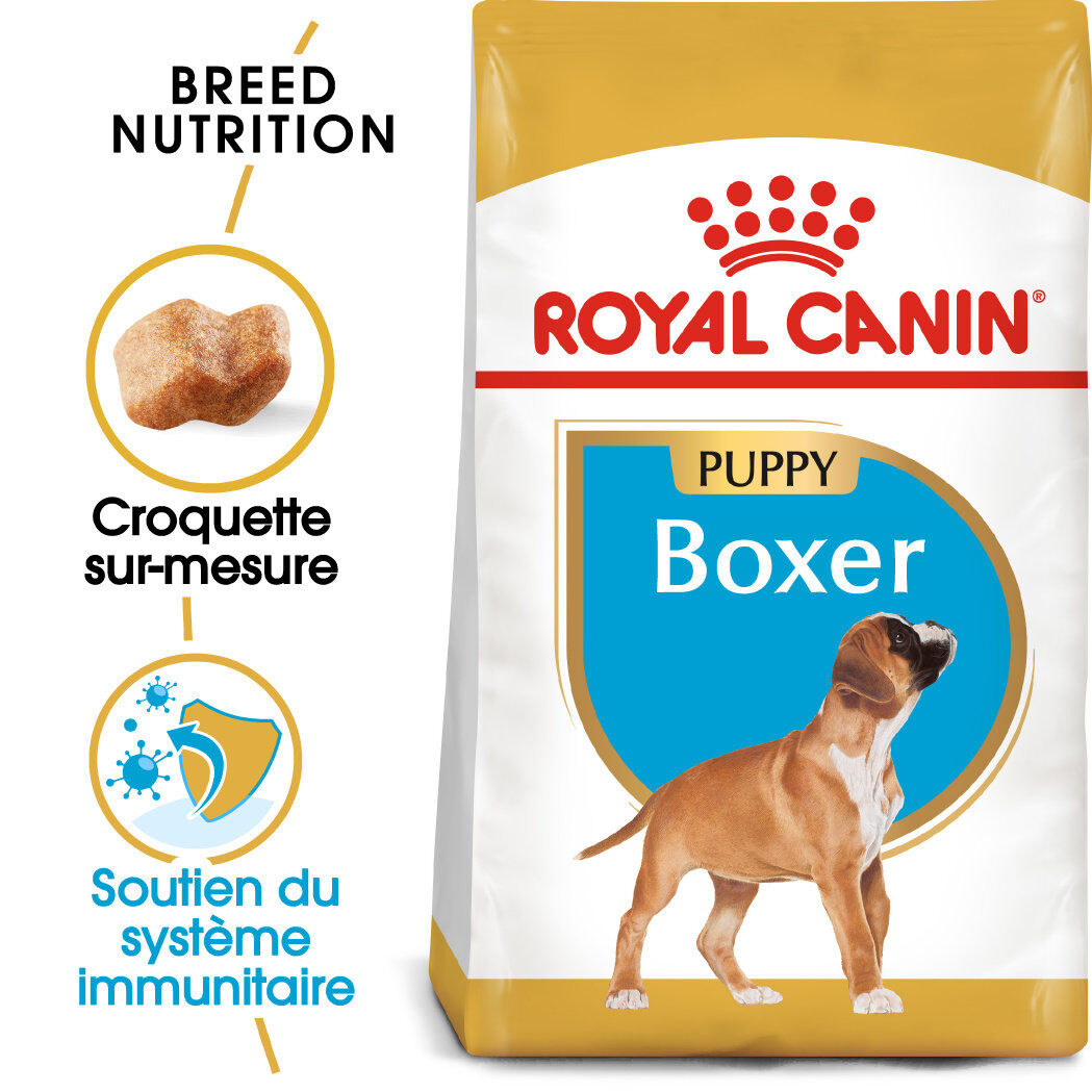 Royal Canin - Croquettes Boxer Junior pour Chiens - 3Kg Image num&eacute;ro 1