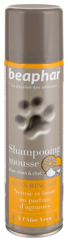 Beaphar - Spray Shampoing Mousse pour Chiens et Chats - 250 ml Image numéro 1 Beaphar - Spray Shampoing Mousse pour Chiens et Chats - 250 ml Image numéro 1