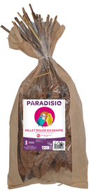 Paradisio - Millet Rouge en Grappe pour Oiseaux