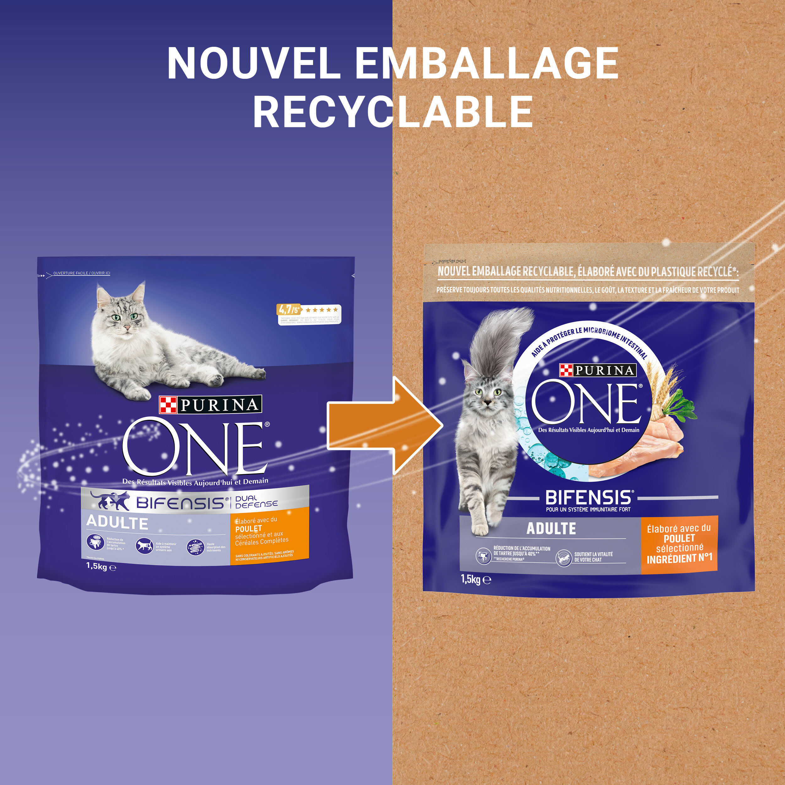 Purina One - Croquettes au Poulet et C&eacute;r&eacute;ales pour Chat Adulte - 1,5Kg Image num&eacute;ro 3