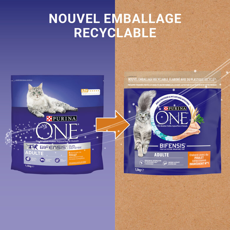 Purina One - Croquettes au Poulet et Céréales pour Chat Adulte - 1,5Kg Image numéro 3 Purina One - Croquettes au Poulet et Céréales pour Chat Adulte - 1,5Kg Image numéro 3