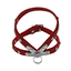 Comme Un Roi - Harnais Cuir So Funky Rouge pour Chien - L Indicateur image numéro 3