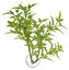Zoomed - Plante artificielle avec ventouse pour aquarium - Maple leaf Indicateur image numéro 2