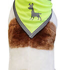 Alcott - Bandana Réfléchissant Visibility Dog Jaune pour Chien - S image number null