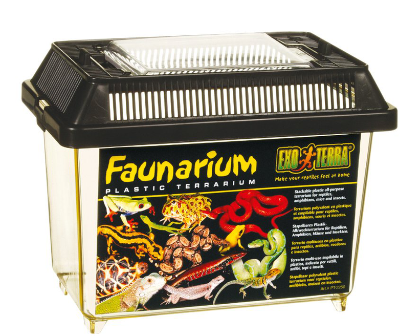 Exo Terra - Faunarium Transport XS pour Reptiles - 18x11,5x15cm Image numéro 1 Exo Terra - Faunarium Transport XS pour Reptiles - 18x11,5x15cm Image numéro 1