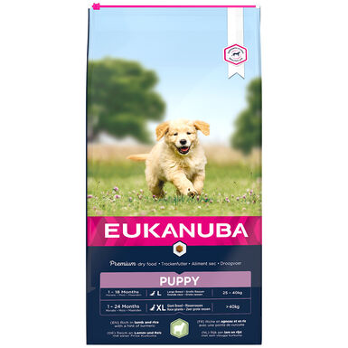 Eukanuba - Croquettes Chiot & Junior pour Grande Race Agneau & Riz