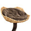 Croci - Arbre à Chat Natural Magnolia pour Chat - 99cm Indicateur image numéro 5