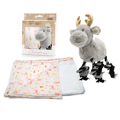 Croci - Coffret Cadeau Chien Xmas - x2 pcs