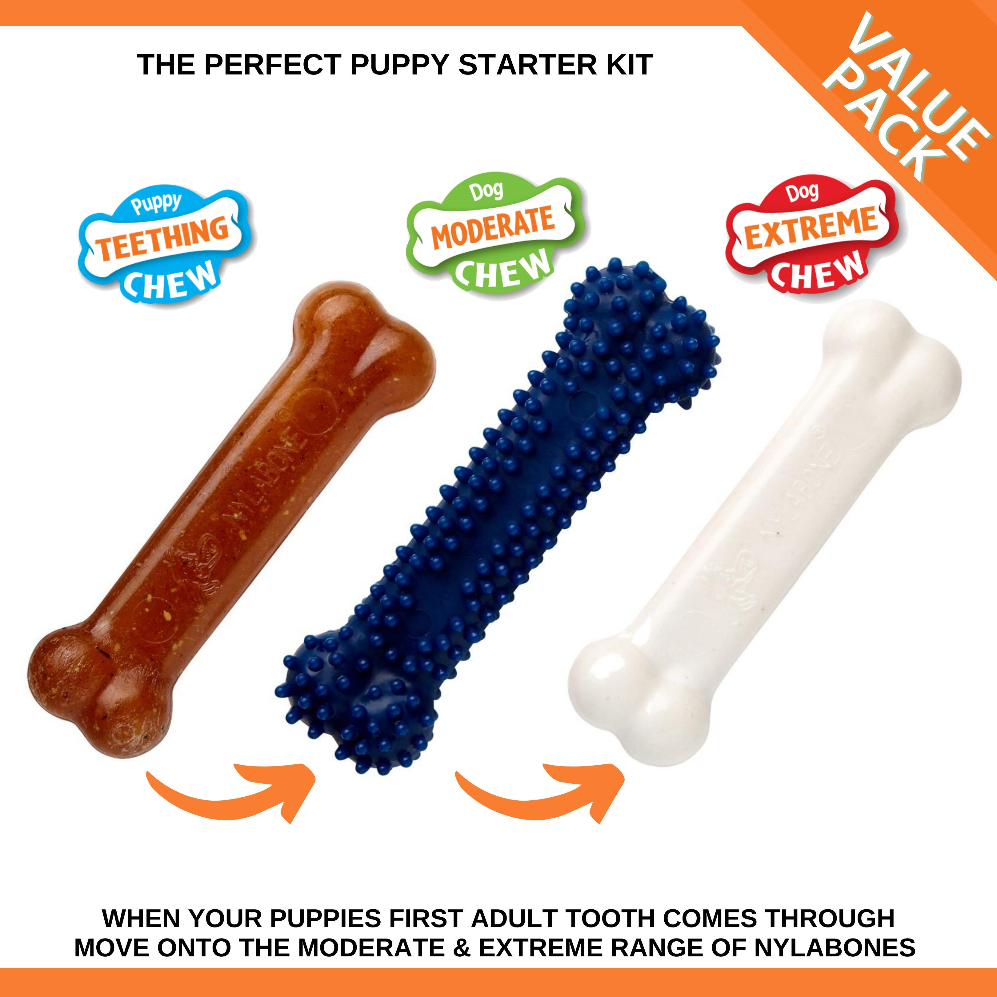 Nylabone - Jouet &agrave; M&acirc;cher Puppy Starter Kit pour Chiots - S Image num&eacute;ro 4