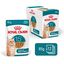 Royal Canin - Pâtée en Sauce Ageing 15+ pour Chats Senior - 12x85g Indicateur image numéro 2