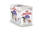 Royal Canin - Sachets Sterilised en Gelée pour Chat - 12x85g image number null