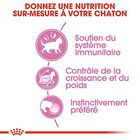 Royal Canin - Sachets Kitten Sterilised en Sauce pour Chaton - 12x85g image number null