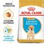 Royal Canin - Croquettes Labrador Junior pour Chiot - 12Kg Indicateur image numéro 1