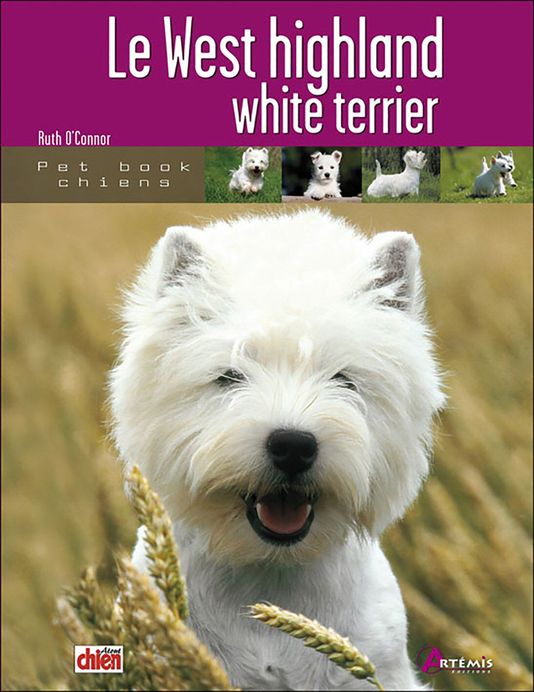 Art&eacute;mis - La West Highland White Terrier Image num&eacute;ro 1