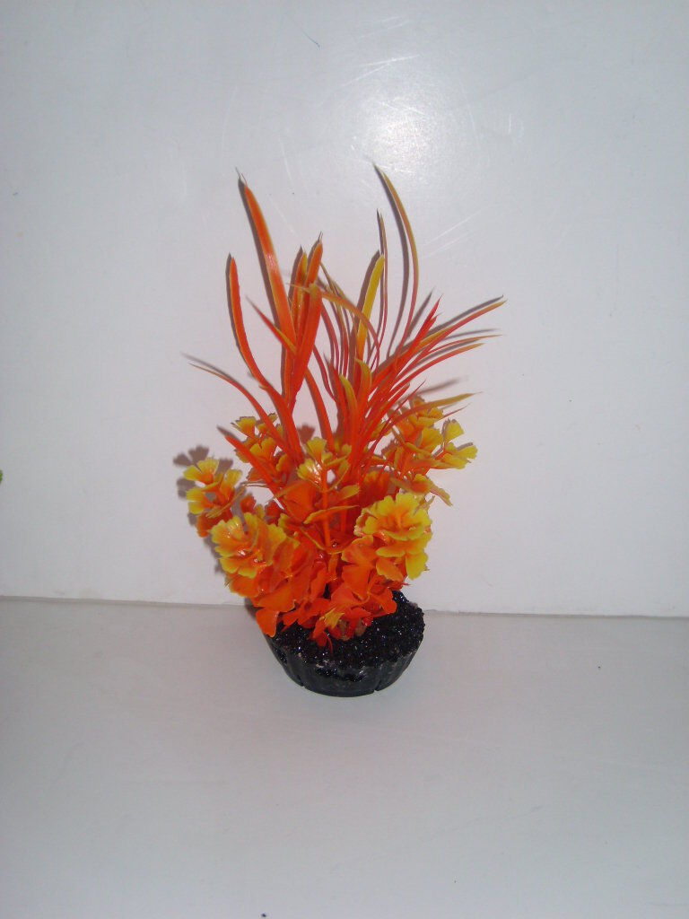 D&eacute;coration Plante en Plastique Algues Color&eacute;es Assorties Image num&eacute;ro 1