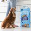 Edgard & Cooper - Croquettes au Saumon pour Chien - 2,5Kg Indicateur image numéro 3