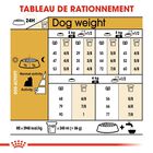 Royal Canin - Croquettes Yorkshire Terrier pour Chien Adulte image number null