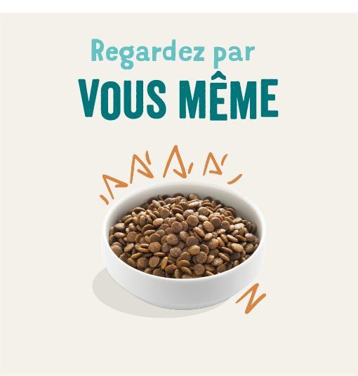 Edgard & Cooper - Croquettes au Poulet pour Chien - 2,5Kg Image num&eacute;ro 2