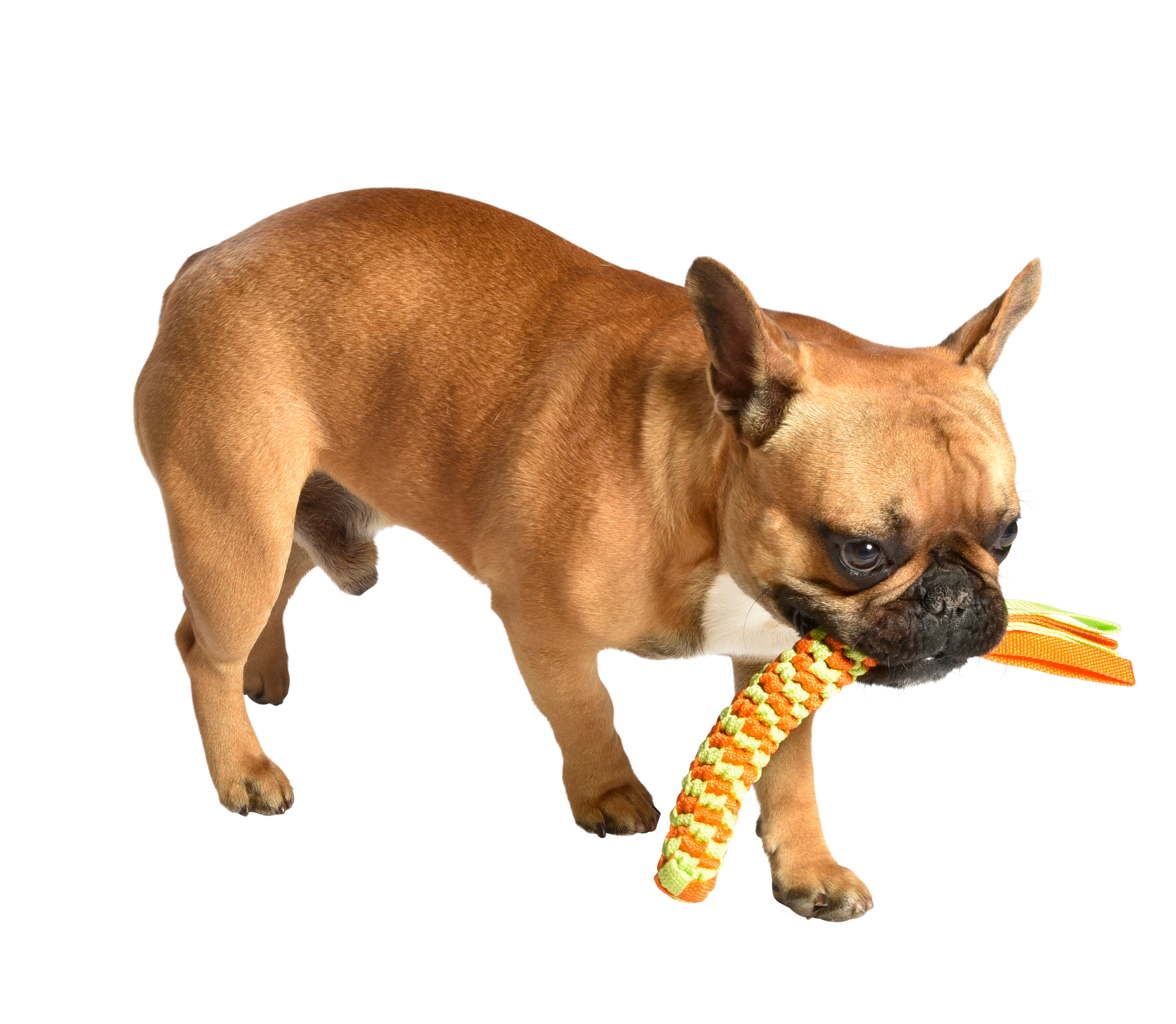 Bobby - Jouet Scouby Orange pour Chiens - S Image num&eacute;ro 2