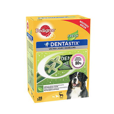 Pedigree - Friandises Dentastix Fresh pour Chien de Grande Taille - x28