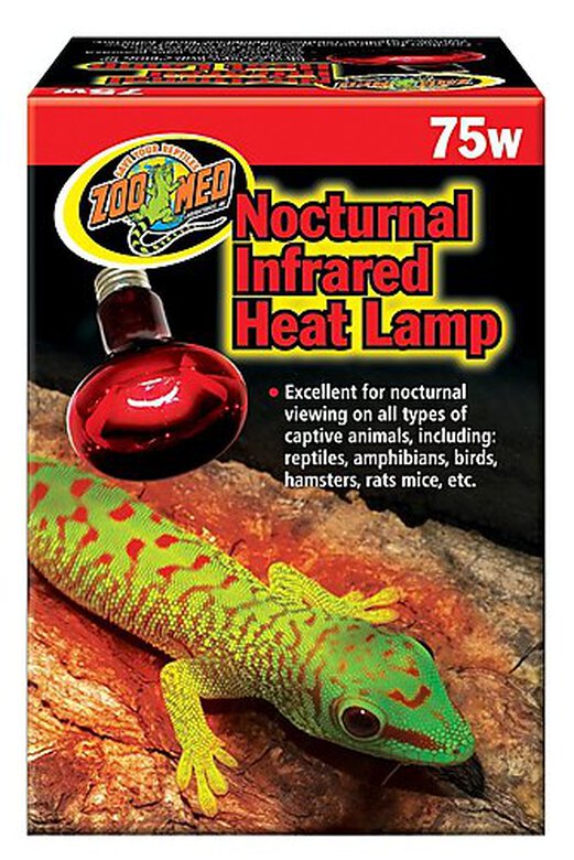 Zoomed - Lampe Chauffante Infrarouge pour Reptiles - 75W image number null
