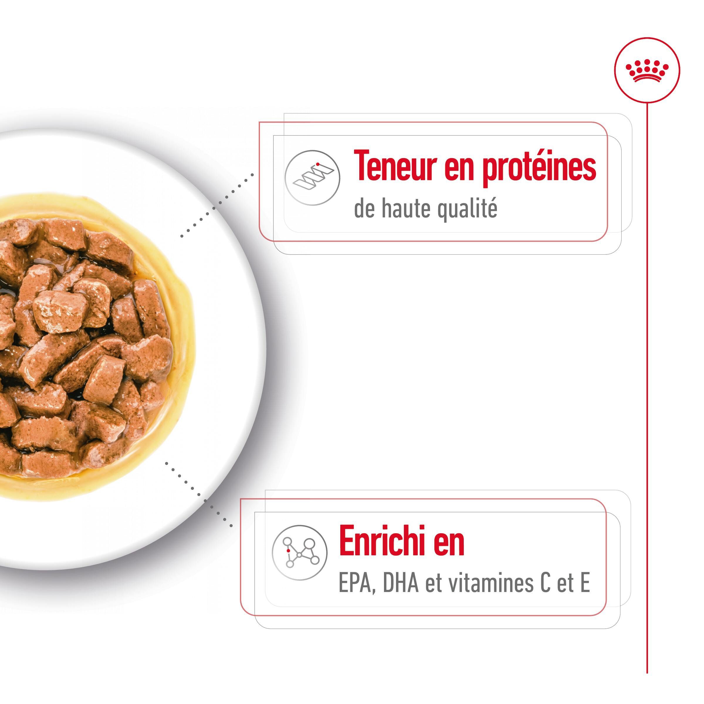 ROYAL CANIN - SACHET FRAICHEUR MEDIUM AGEING 10+ en sauce POUR CHIENS SENIORS - 10x140g Image num&eacute;ro 5