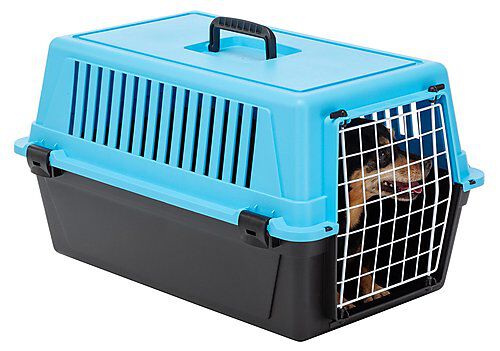 Ferplast - Panier de Transport Atlas 20 EL - Bleu Image num&eacute;ro 4