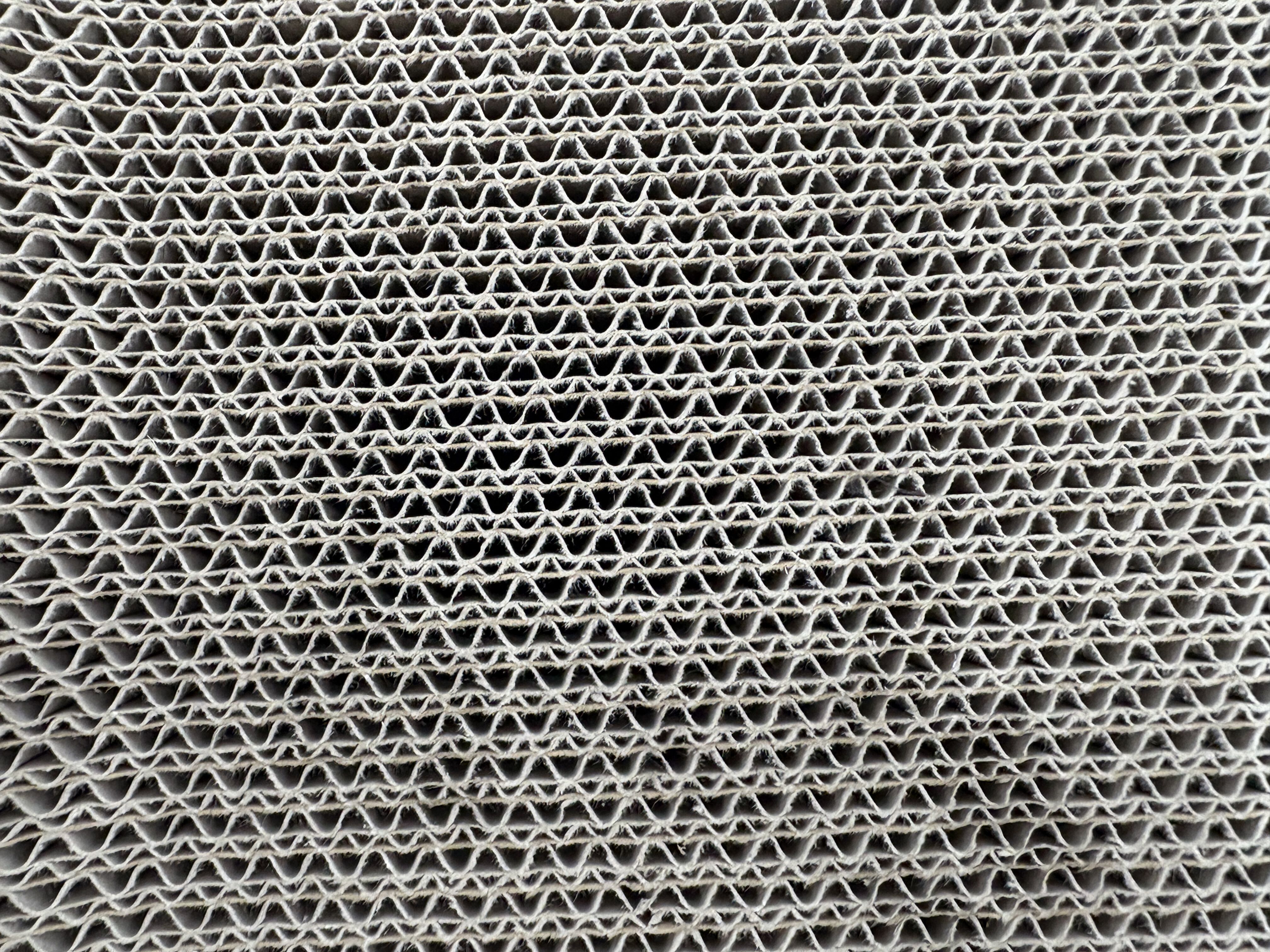 Leeby - Griffoir Carton Funny Kira pour Chats - 43x12x23cm Image num&eacute;ro 6