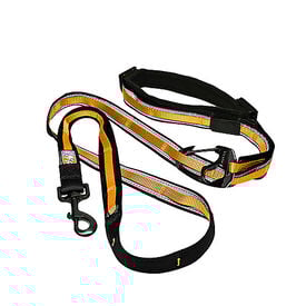 Kurgo - Laisse Main Libre "Quantum" pour Chiens