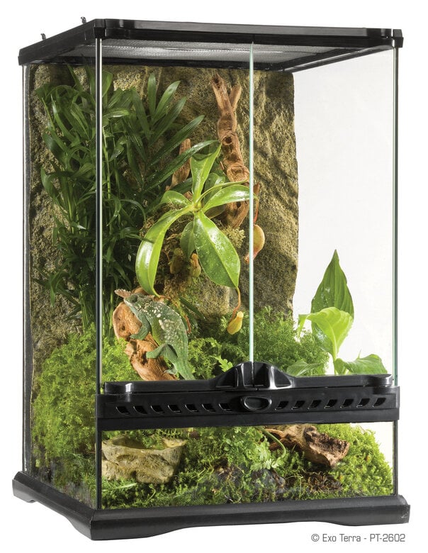Exo Terra - Terrarium en Verre pour Reptile - 30x30x45cm Image numéro 1 Exo Terra - Terrarium en Verre pour Reptile - 30x30x45cm Image numéro 1